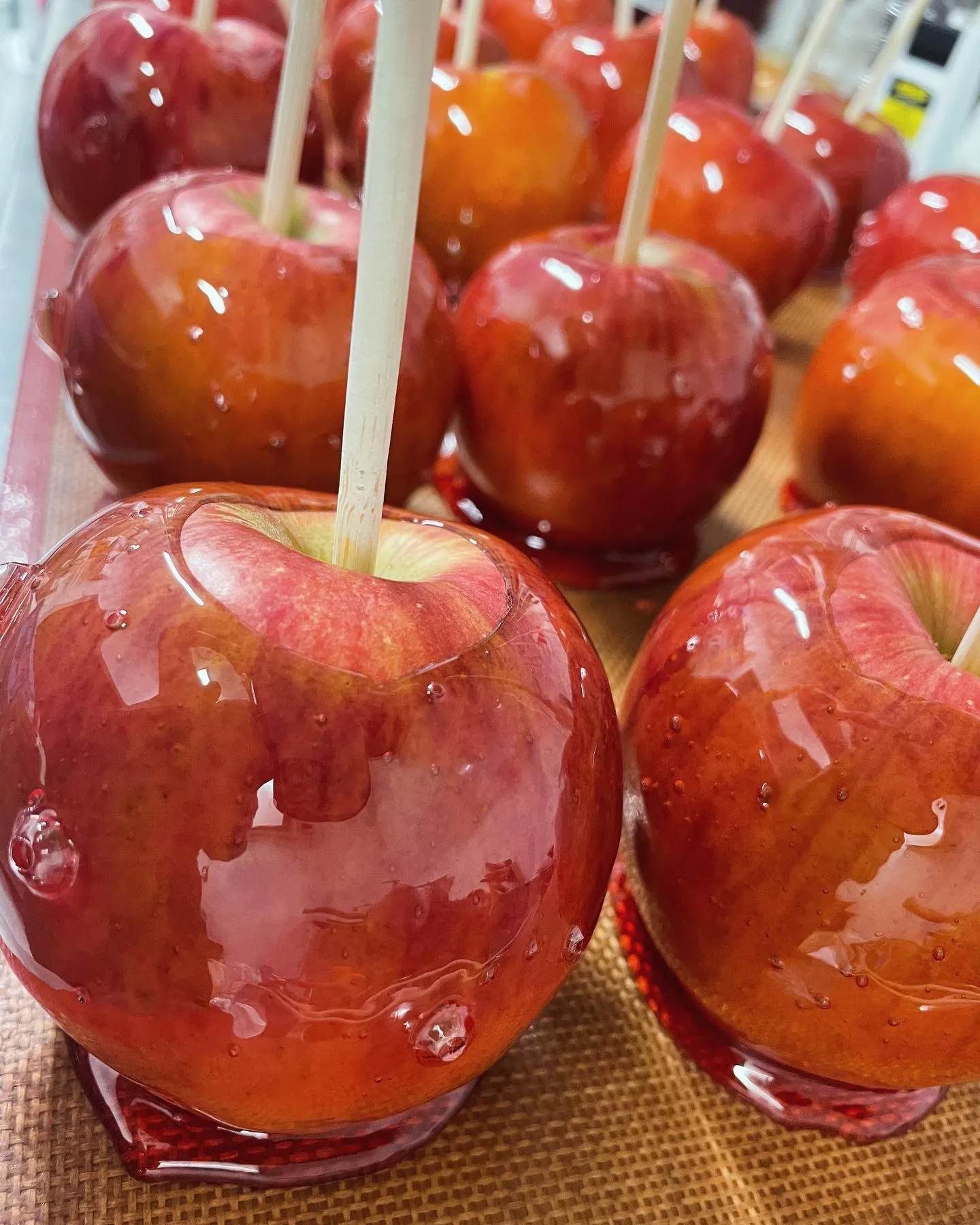 5/17(土)に太田川で開催されるパン×スィーツマルシェに初...