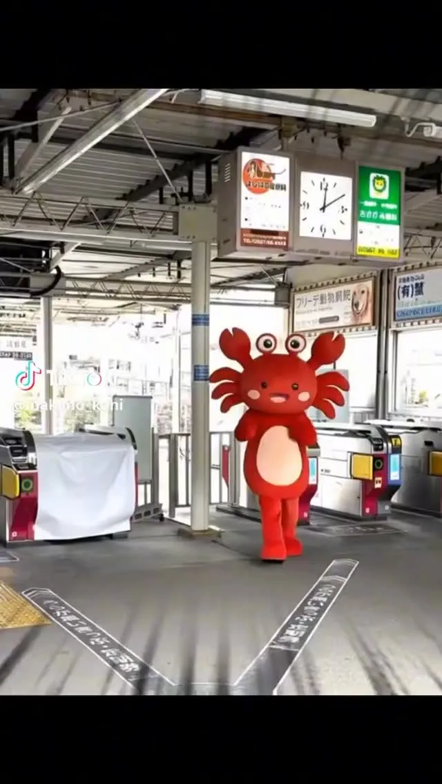 蟹江町でふらふらしてるカニさんが